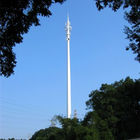 Torri professionali di telecomunicazioni, torre travestita del pino